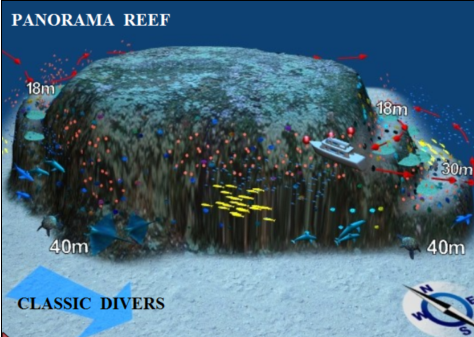 Panorama Reef